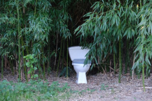 버섯으로 작동하는 물 없는 변기 ‘MycoToilet’